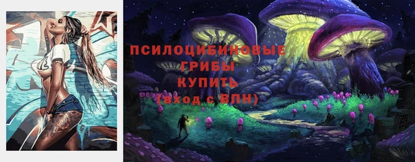 PSILOCYBIN Белокуриха